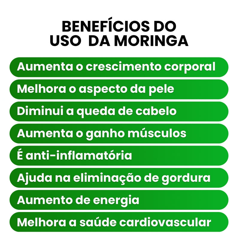 Moringa em Pó 100% Pura Natural 100g | FRETE GRÁTIS