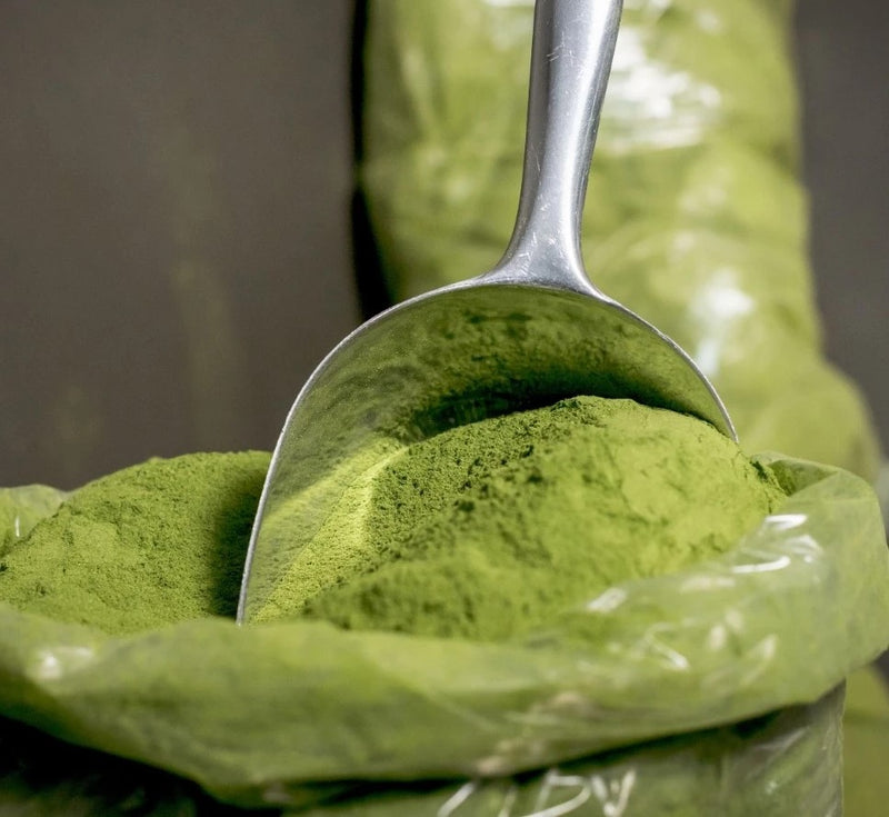 Moringa em Pó 100% Pura Natural 100g | FRETE GRÁTIS