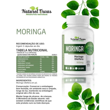 KIT 3 Moringa Oleifera 360 Cápsulas 500mg Natural Premium | Frete grátis